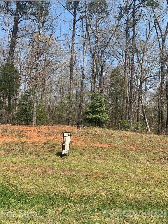 000 Mollys Backbone Road - Photo 1