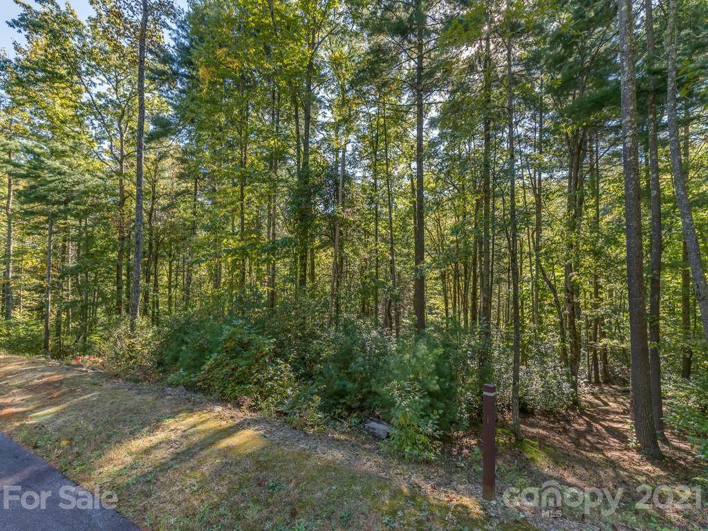 LOT 115 Huckleberry Ridge Lane - Photo 1