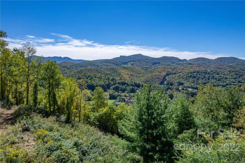 Lot 26 Silver Fox Lane - Photo 1