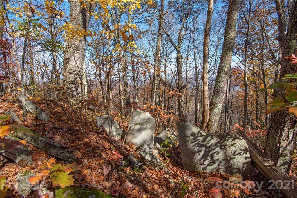Tract 8 Sigogglin Trail - Photo 1