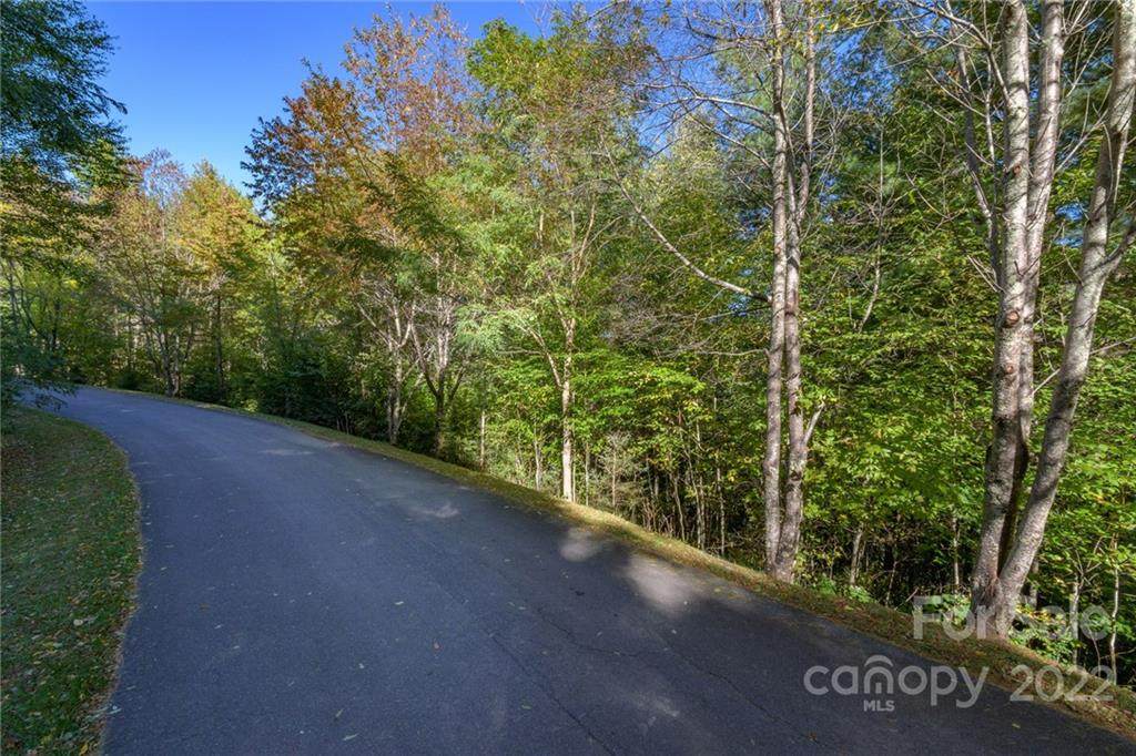Lot 38 White Fox Lane - Photo 1