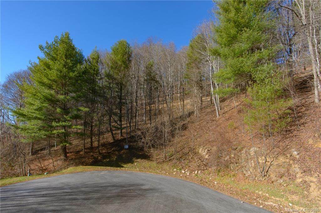 Lot 44 Silver Springs Farm Road - Photo 1