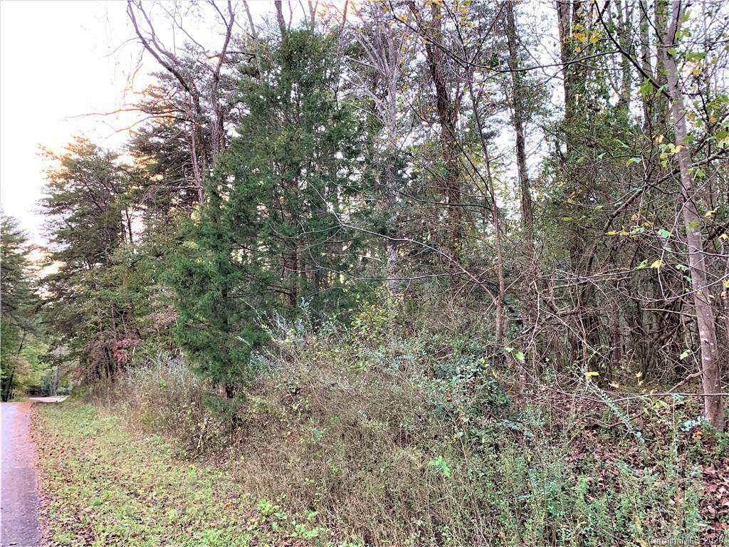 63 Wolf River Lane - Photo 1