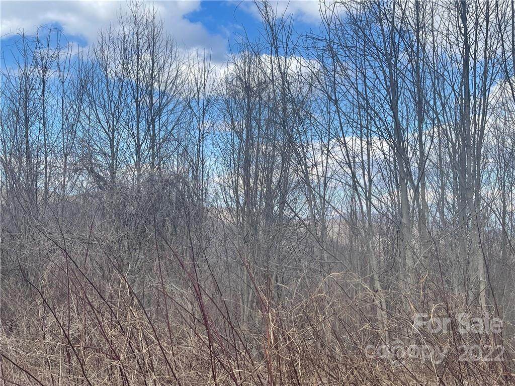 Pt 2 Turkey Trot Road - Photo 1