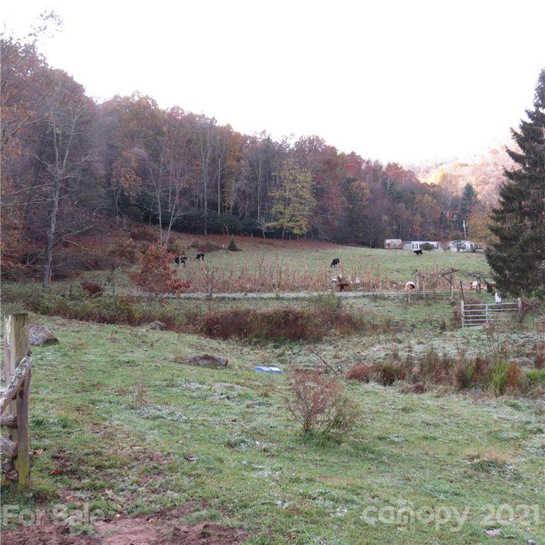 00 Smokey Cove Road - Photo 1