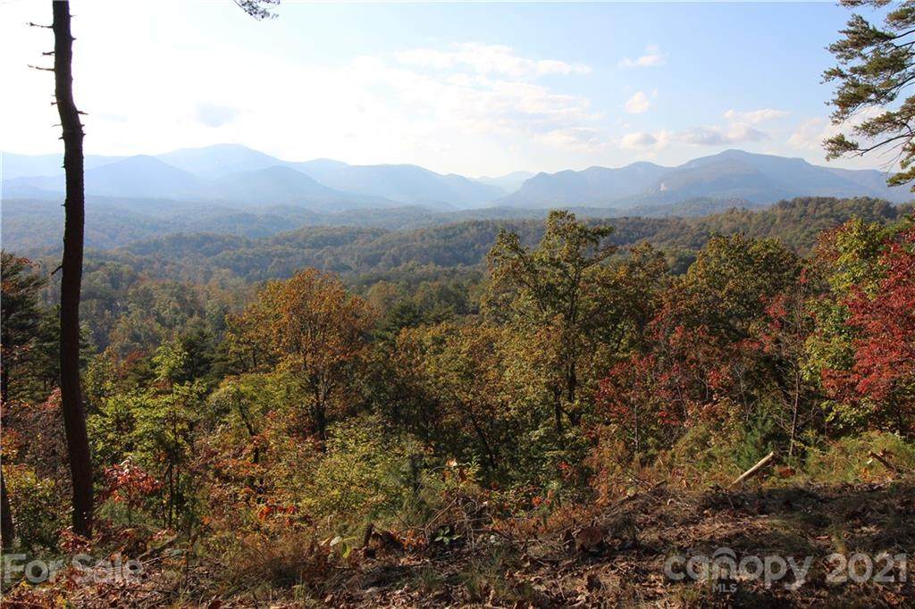0 Bills Mountain Trail - Photo 1