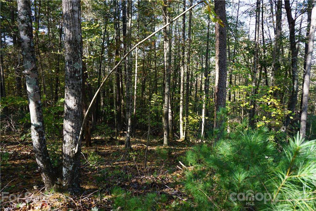 437 Larkhaven Drive - Photo 1