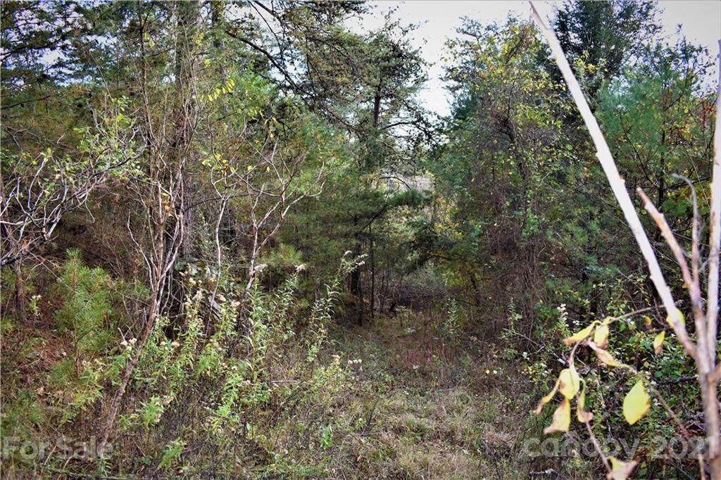 Lot 8 Big Rocky Top Drive - Photo 1