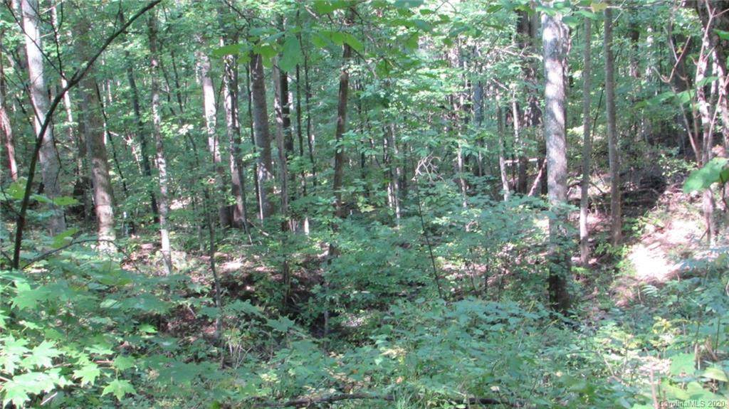 E- 17 Red Wolf Run - Photo 1