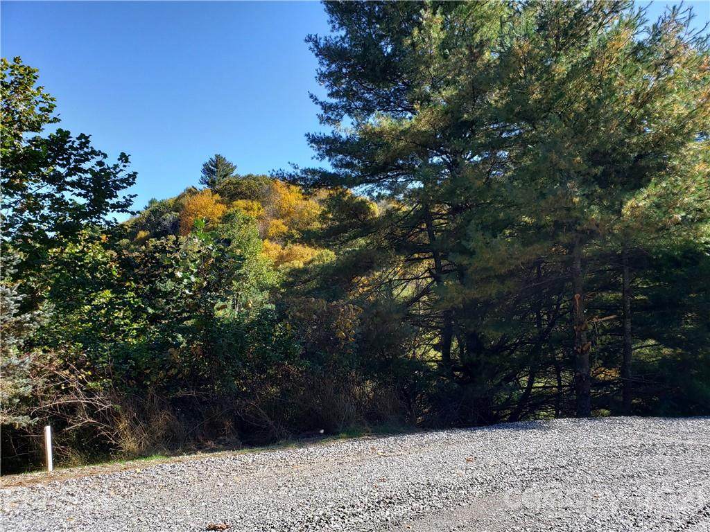 Lot 38 Fawn Trail Lane - Photo 1