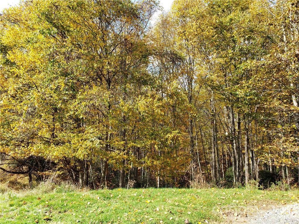 Lot 39 Fawn Trail Lane - Photo 1