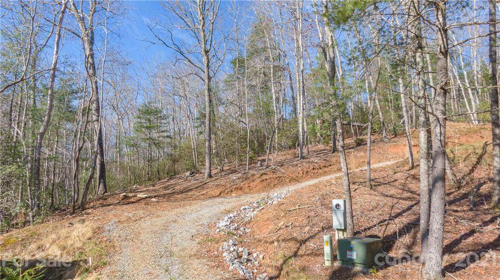 Lot 3 off Dupont Road - Photo 1