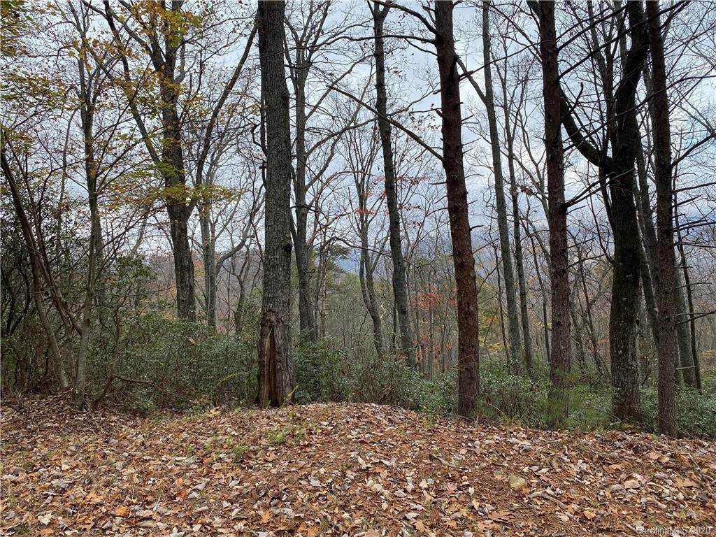 TBA Cardinal Road - Photo 1