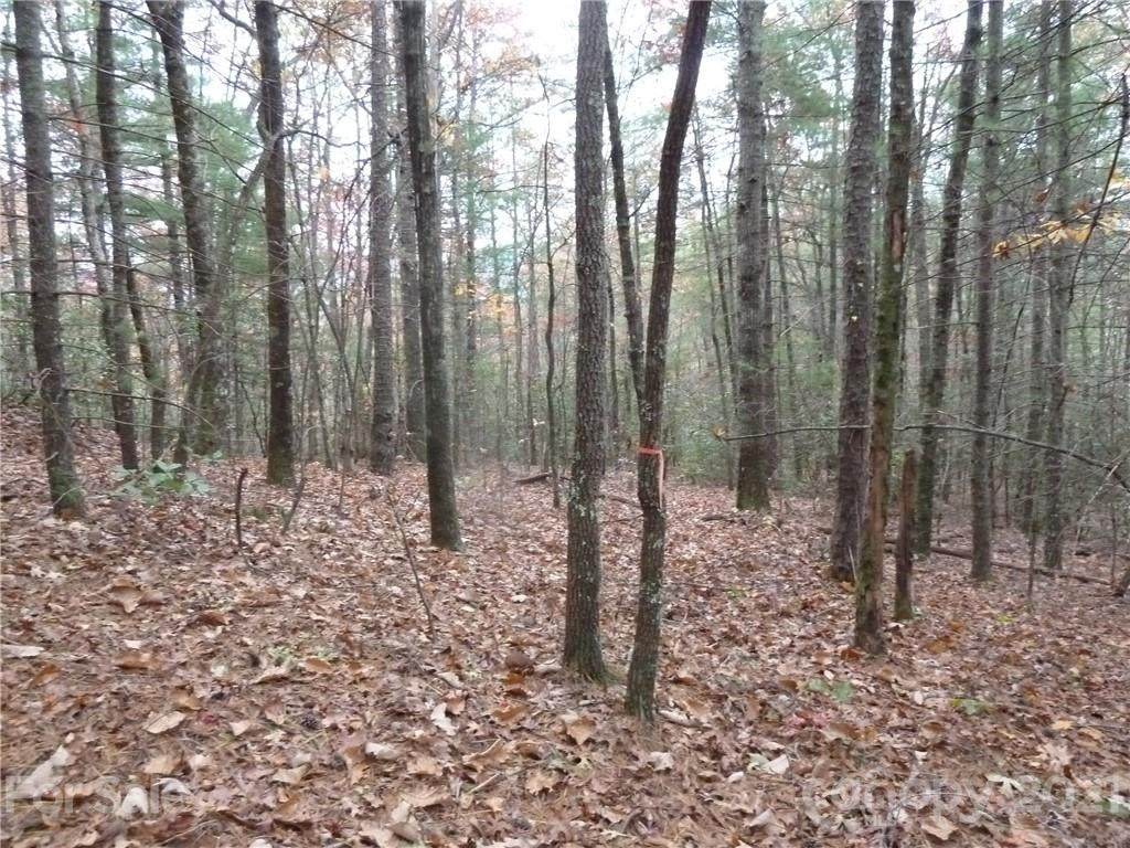 87 Oak Laurel Lane - Photo 1