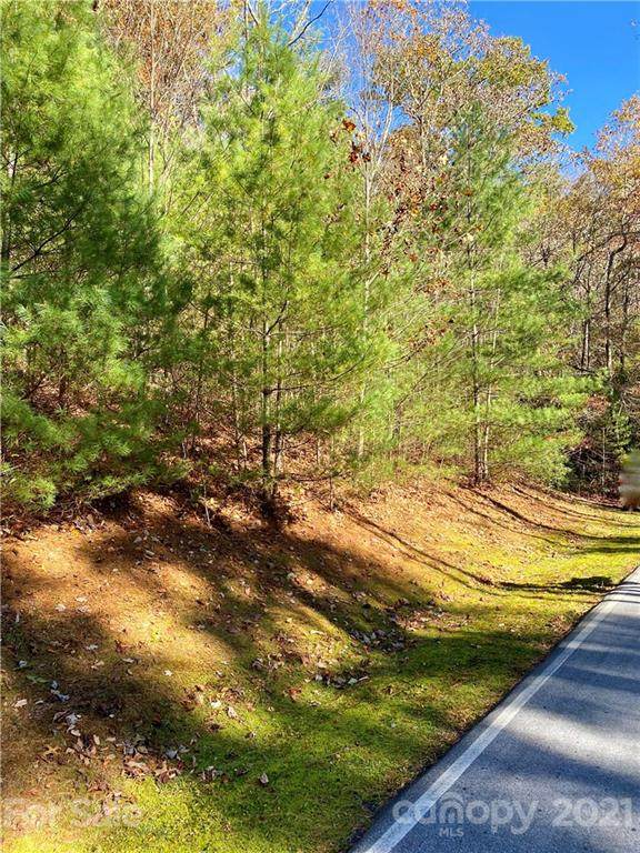 Lot 100 Hawk Mountain Road - Photo 1