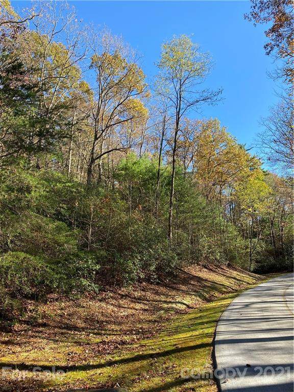 Lot 101 Hawk Mountain Road - Photo 1