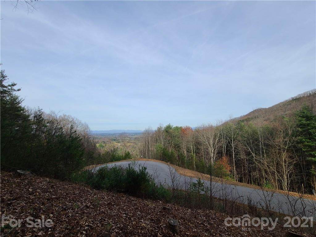 36 Carolina Buckthorn Drive - Photo 1