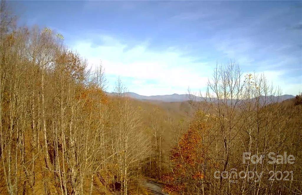 Lot 124 Atlantic Falls Trail - Photo 1