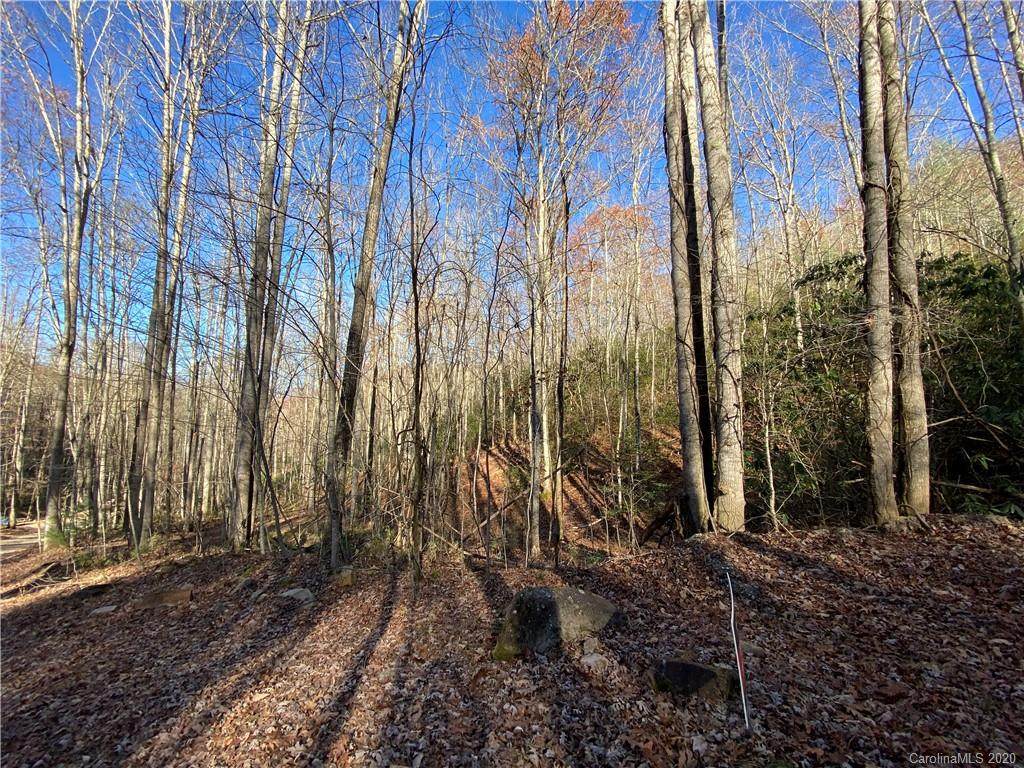 0 Black Forest Drive - Photo 1