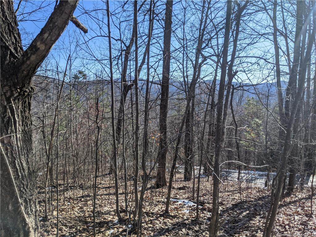 Lot 24 Bald Eagle Drive - Photo 1