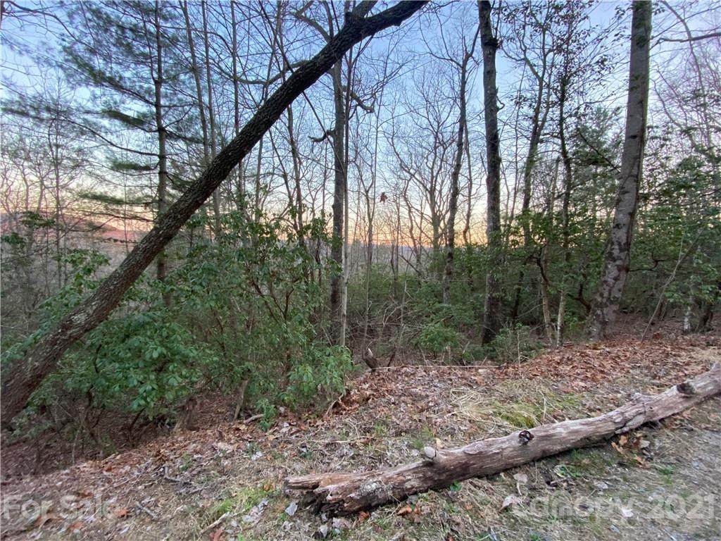 5C Dogwood Circle - Photo 1
