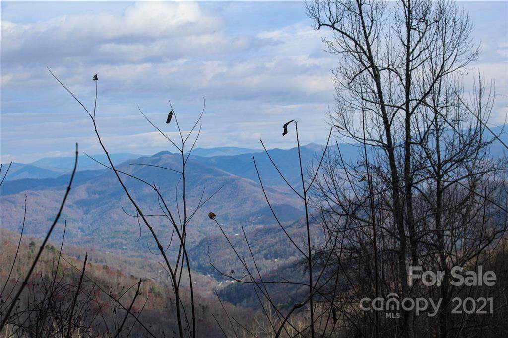Lot 5 Raven Crest Lane - Photo 1