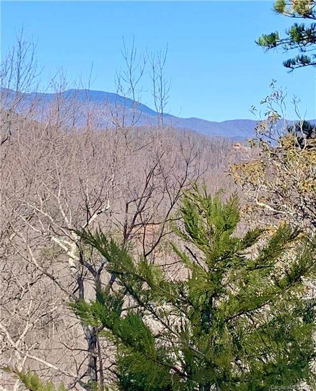 Lot 138 Arcadia Falls Way - Photo 1