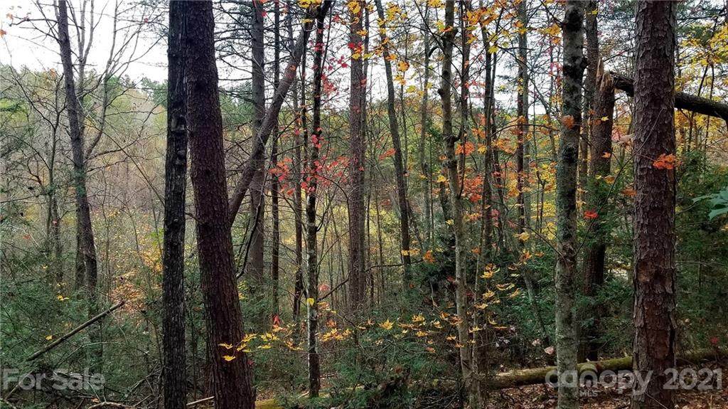 0 Shoal Creek Trail - Photo 1