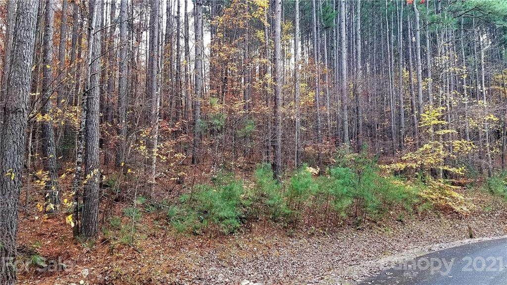 0 Shoal Creek Trail - Photo 1
