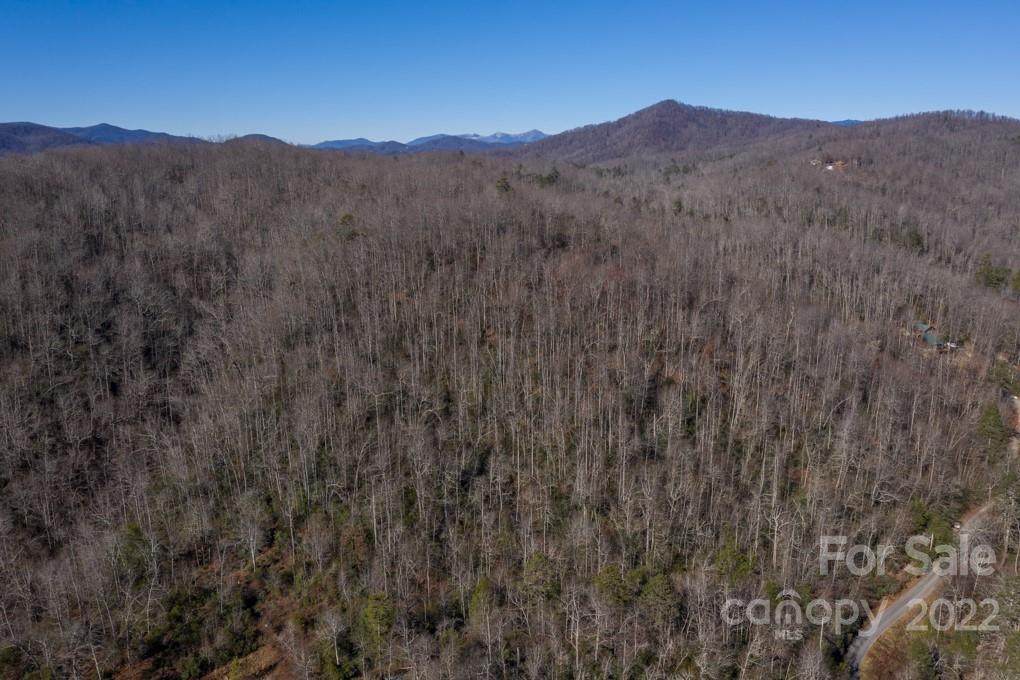 00 Bird Creek Estates Road - Photo 1