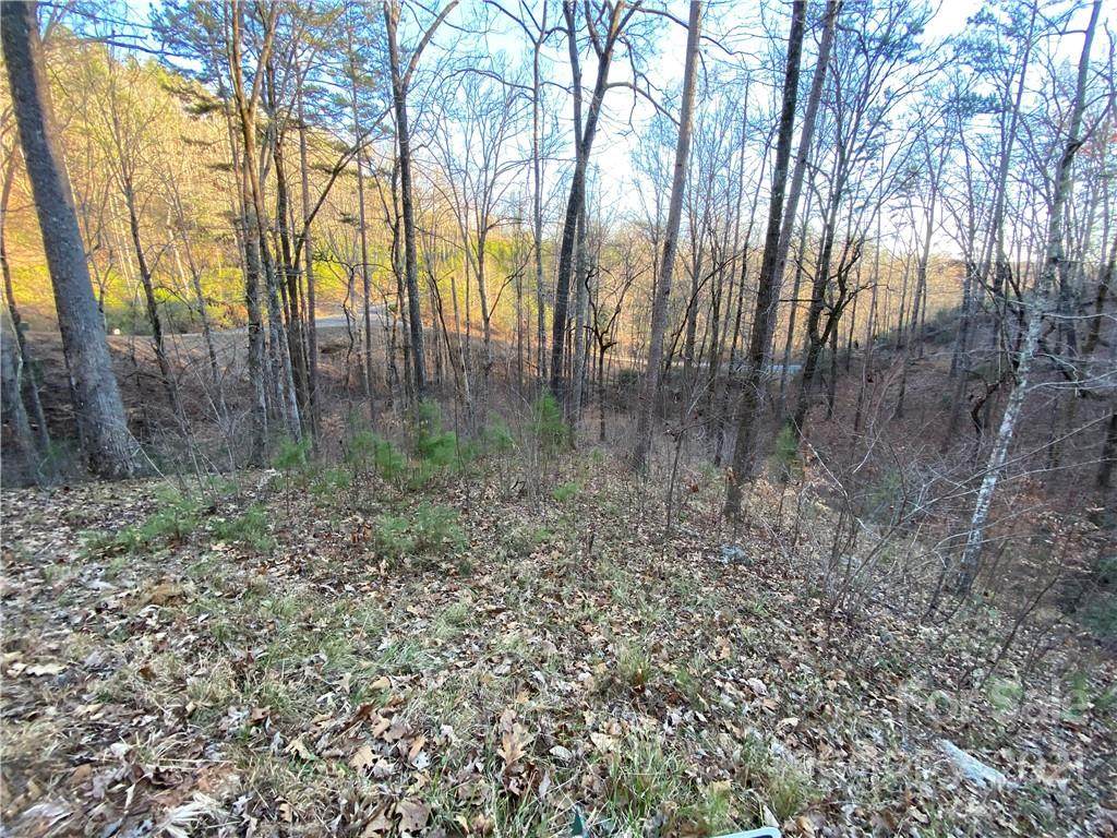 0 Bills Mountain Trail - Photo 1