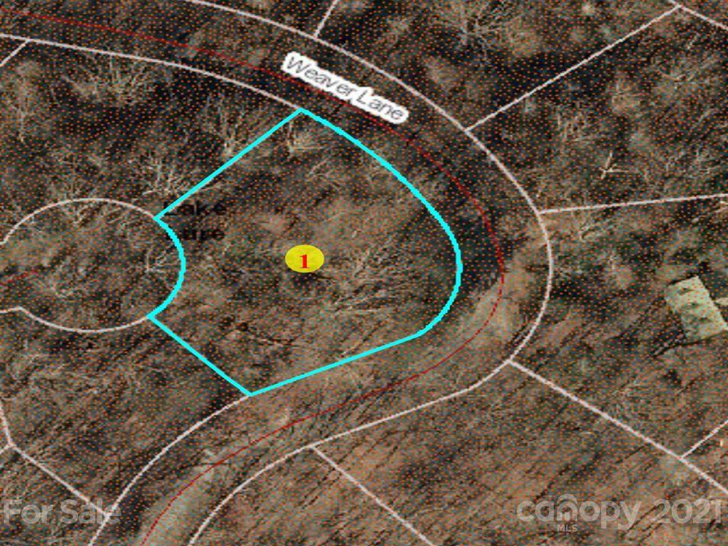 LOT 203 Quail Ridge - Photo 1