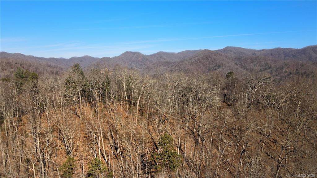 852 Fisher Branch Road - Photo 1