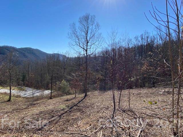 0000 Glen Haven Cove - Photo 1