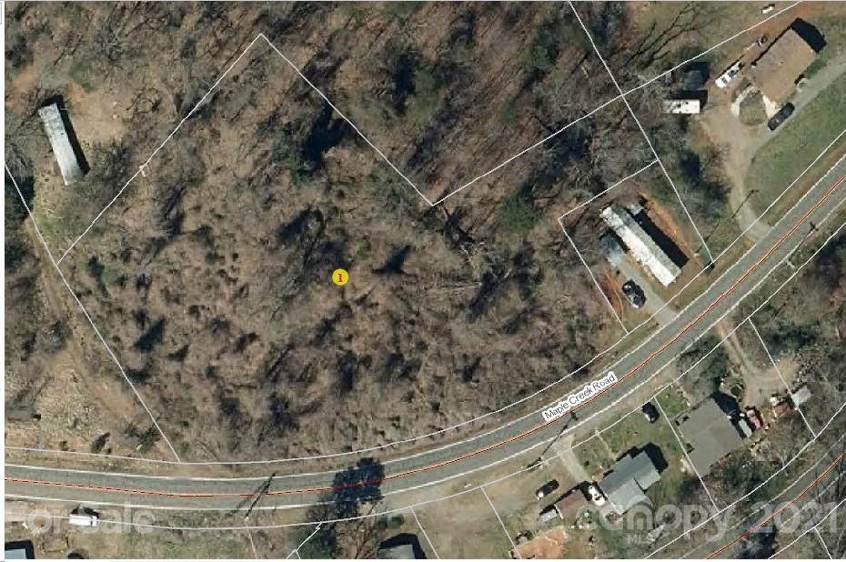 0 Maple Creek Road - Photo 1