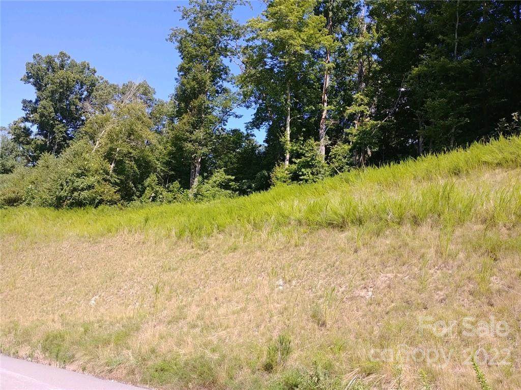 6045 Highway 19W - Photo 1