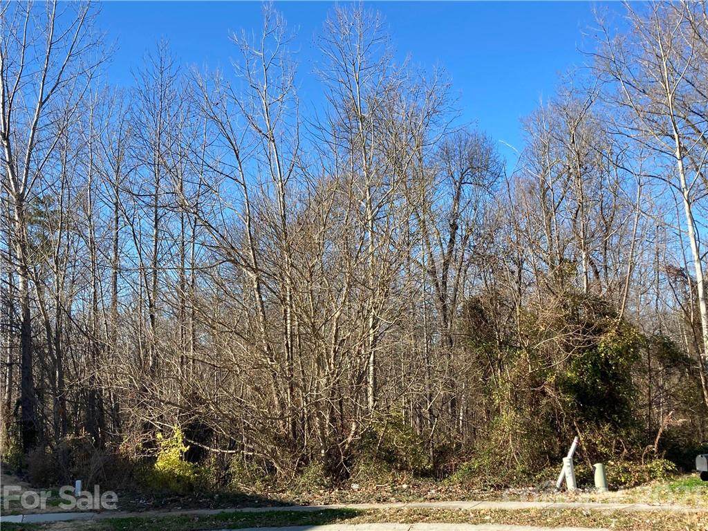7023 Seney Drive - Photo 1