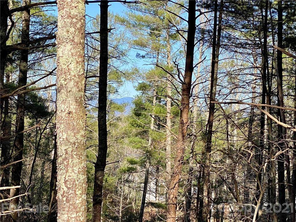 2086 October Drive - Photo 1