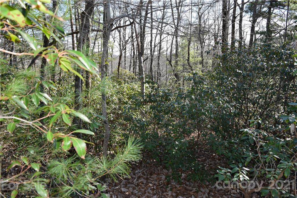 119 Pinnacle Peak Lane - Photo 1