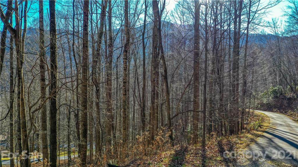 00 Scenic View Drive - Photo 1