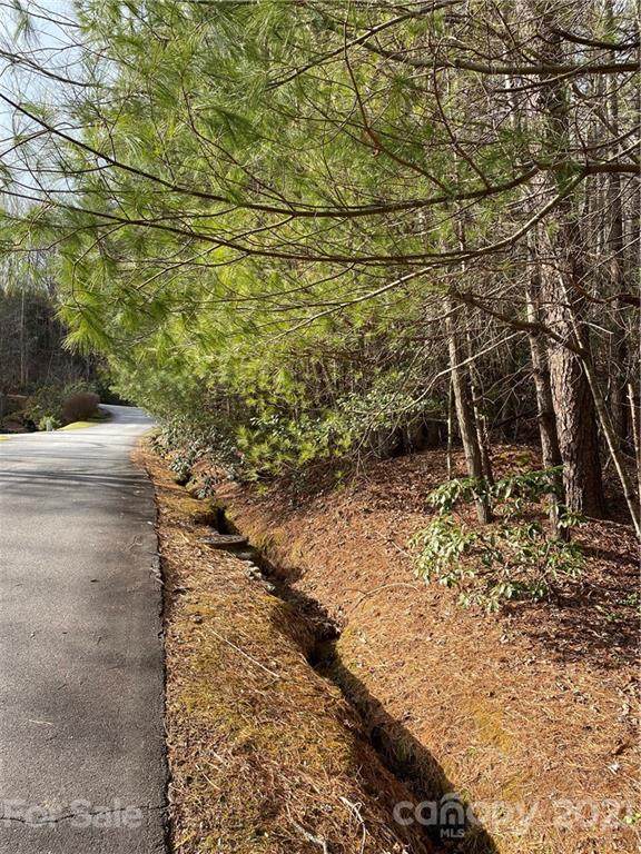 L-29 & 30 Waterford Lane - Photo 1