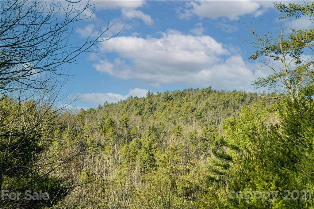38 Bear Paw Ridge Road - Photo 1