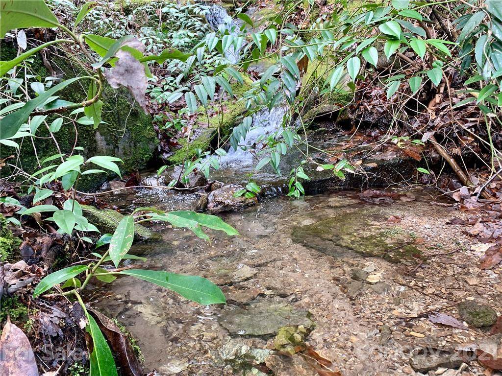 TBD Silver Maple Trail - Photo 1