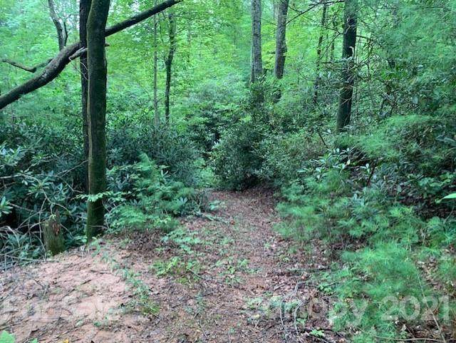 99 Cedar Creek Road - Photo 1