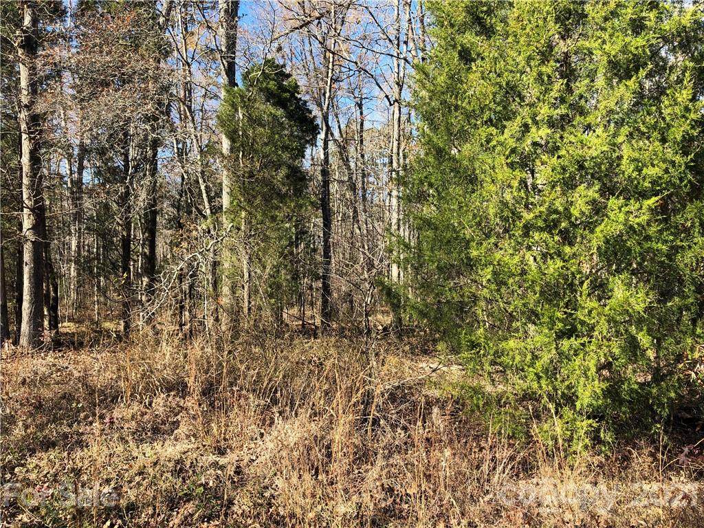 0 High Rock Road - Photo 1