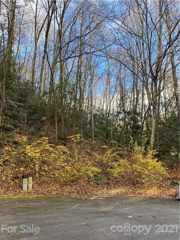 Lots 48 & 49 Wood Duck Court - Photo 1