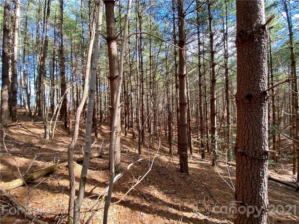 100 Rusty Hook Drive - Photo 1