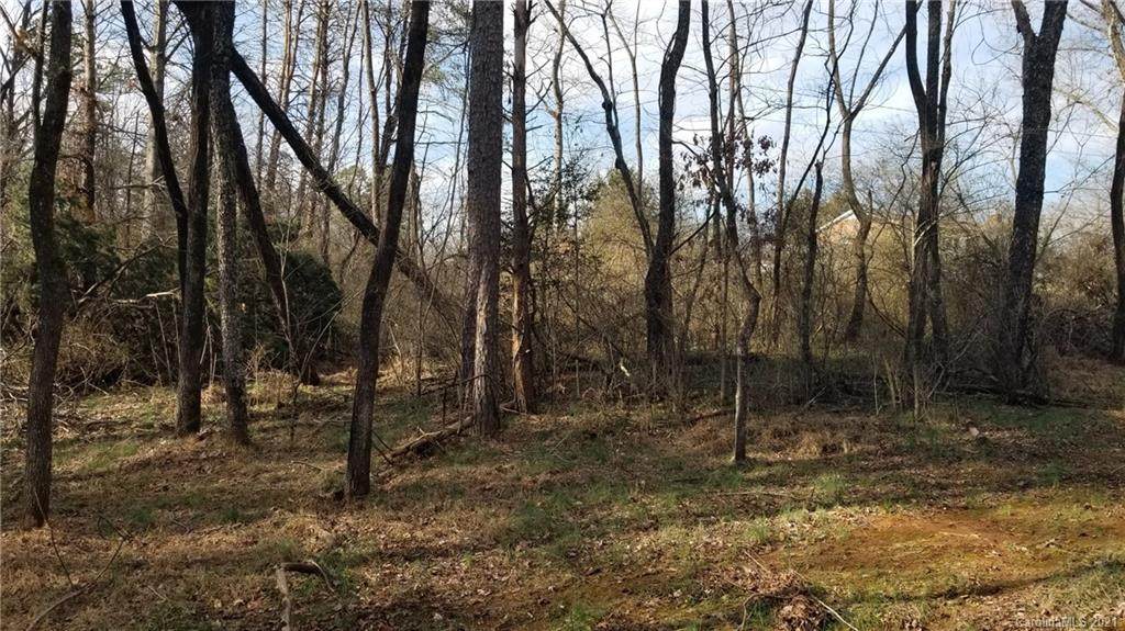 2.75 acre tract Cliftwood Circle - Photo 1