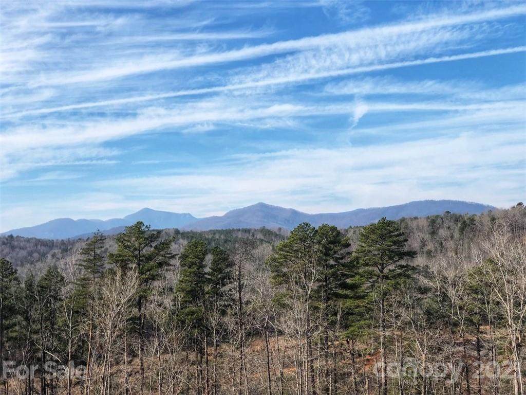 0 Hardin Store Road - Photo 1
