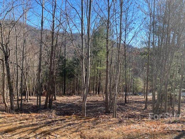 0000 Pebble Stone Trail - Photo 1